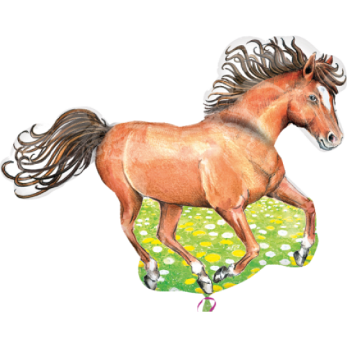 Balón Kôň na lúke