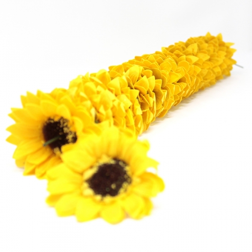 Mydlové kvety, veľká slnečnica - žltá - Veľká slnečnica