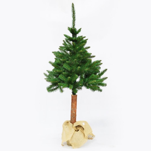 Vianočný strom sosna papa na pni 150 cm - Vianočné stromčeky