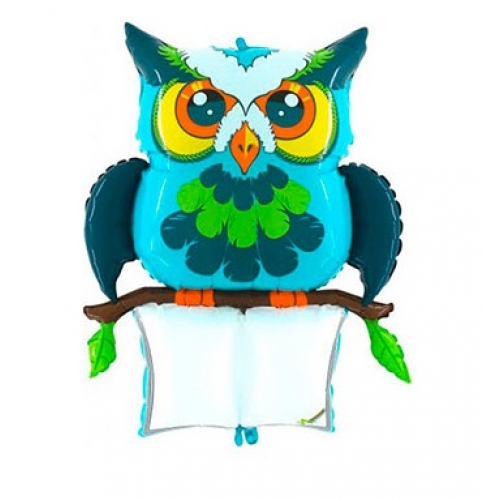 Balón Sova na písanie