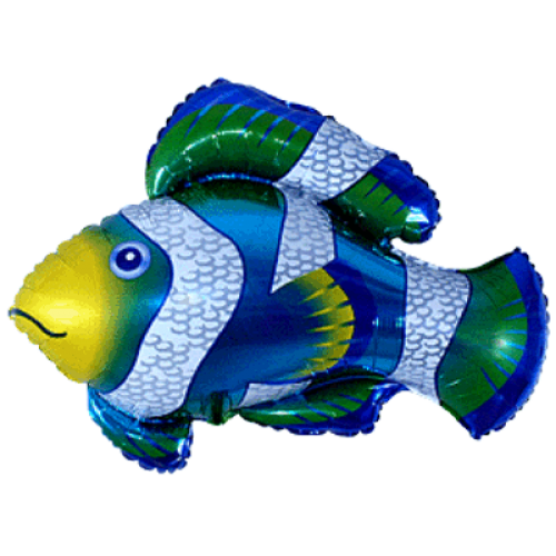 Balónik Ryba - klaun - Balóny zvieratká