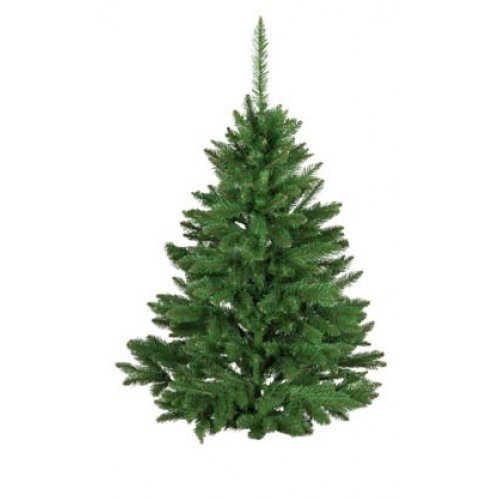 Vianočný stromček Dagmara 150cm