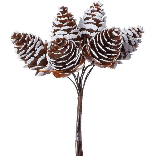 Zapich. šišky natur. s/6 - Vianočné dekorácie a ozdoby