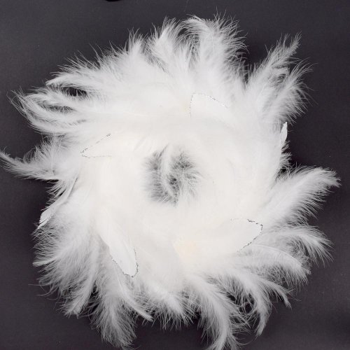 Veniec s perím 20x4cm biely