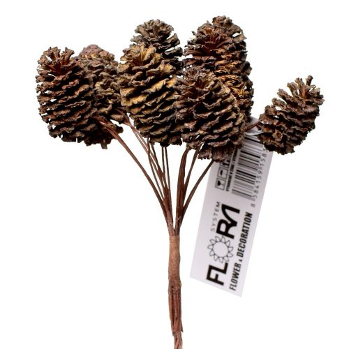 Šišky zväzok s/6 12cm