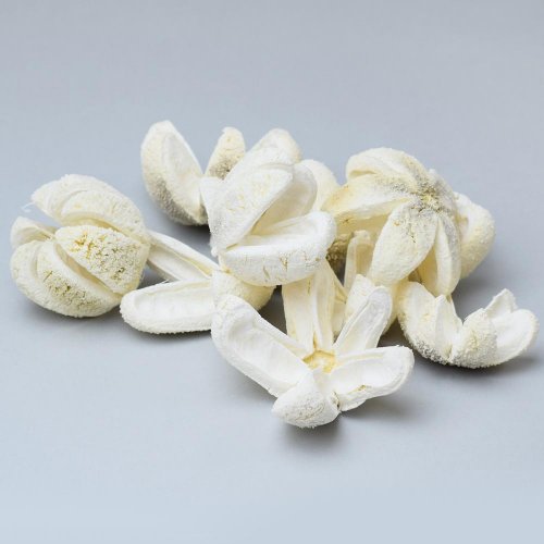 I460w wild orange bielené s/10