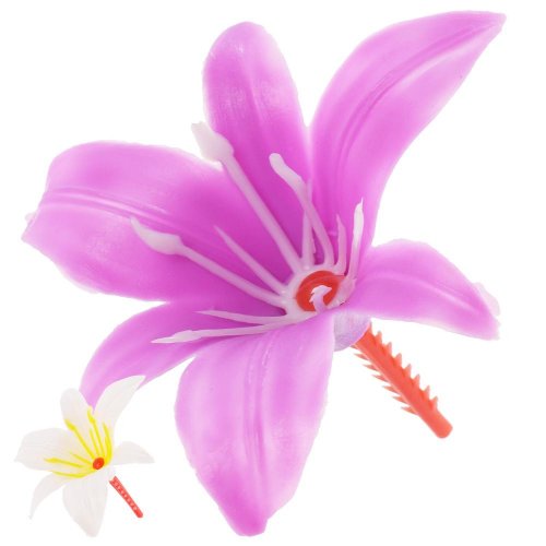 Ľalia väzbová  v10cm/š12cm