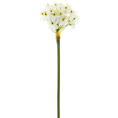 11612-0  ks  ornithogalum 80cm - Umelé kvety