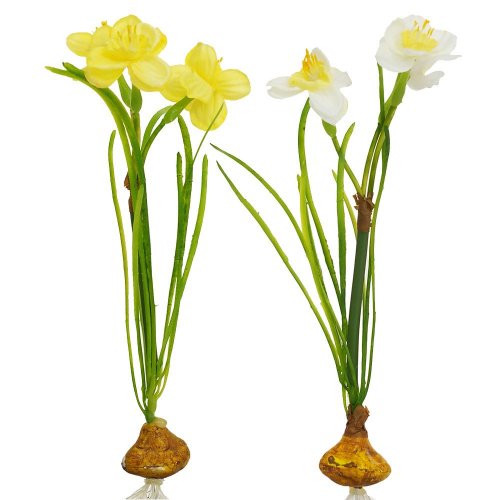 25flk0705 narcis ks s cibuľkou biela/žltá 24cm - Umelé kvety