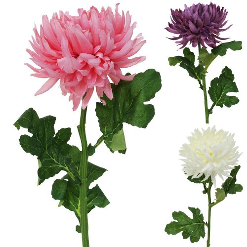 Ks chrysantema 3f mix a 65cm