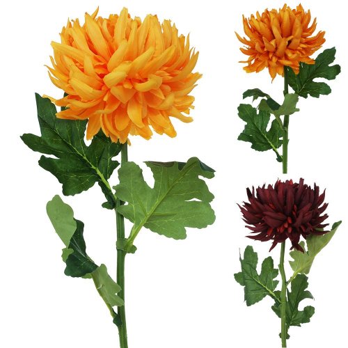 Ks chrysantema 2f mix b 65cm