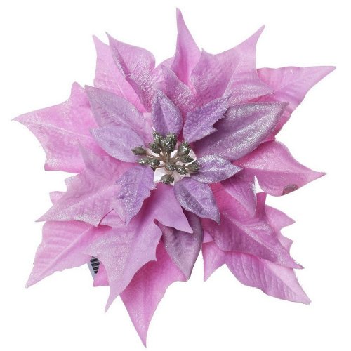 Poinsettia ružová klip 20cm super cena