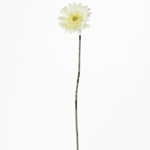 Gerbera biela ks 45cm - Umelé kvety