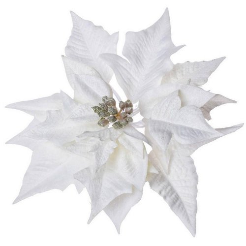 Poinsettia krém.zlatá klip 20cm super cena