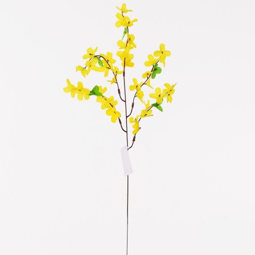 Ks zlatý dážď 53cm/5