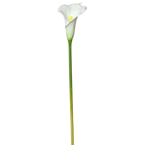 Ks calla biela 70cm - Umelé kvety