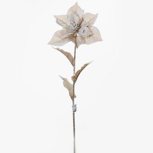 Ks poinsetia staroruž. 65cm