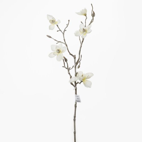 Ks magnolia spray.65cm .krem
