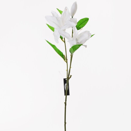 Ks ľalia biela 54,5cm /3