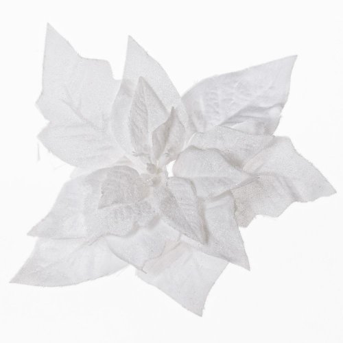 Poinsettia biela zasnež. klip 15cm