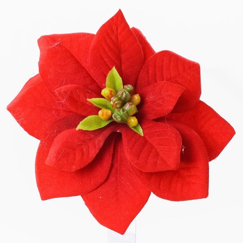 Poinsettia červená klip 11cm