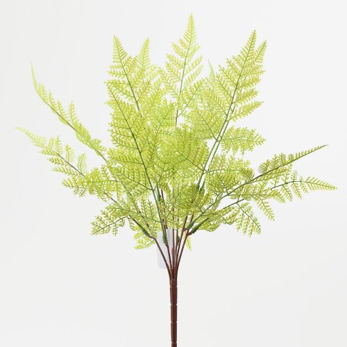 Zápich papraď 48cm