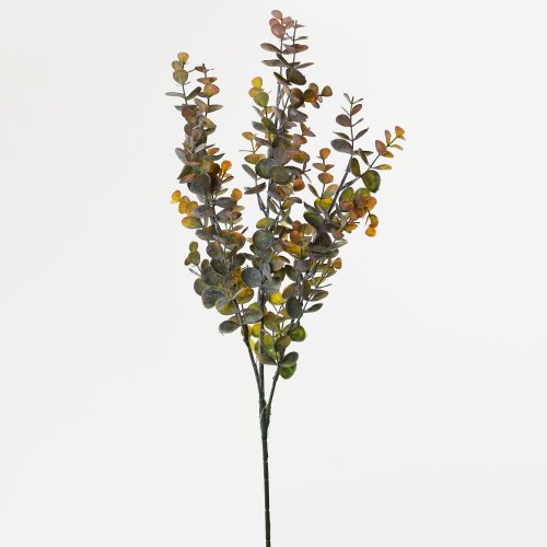 Ks eucalyptus oranžový 70cm