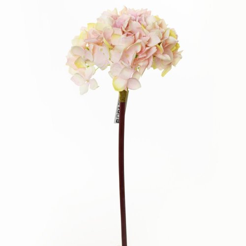 Ks hortenzia sv.ružová 48cm