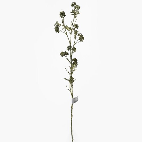 Ks zeleň bobule zelené 81cm