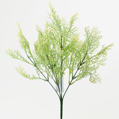 Zápich thuja biele konce 36cm