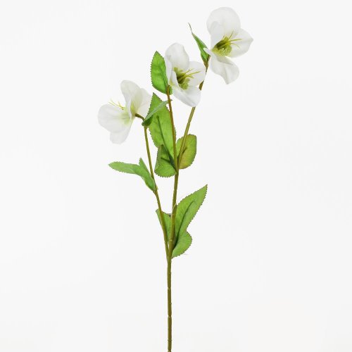 Ks heleborus 38cm - Umelé kvety