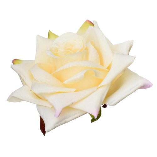 Hlava ruža žltá 12cm bal:12ks