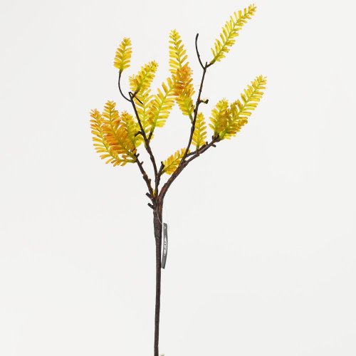 Ks  zeleň cypruštek červ.zel. 54cm