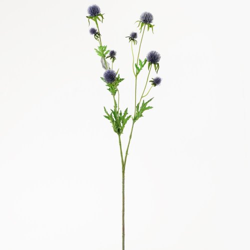 Ks echinops modrý 71cm