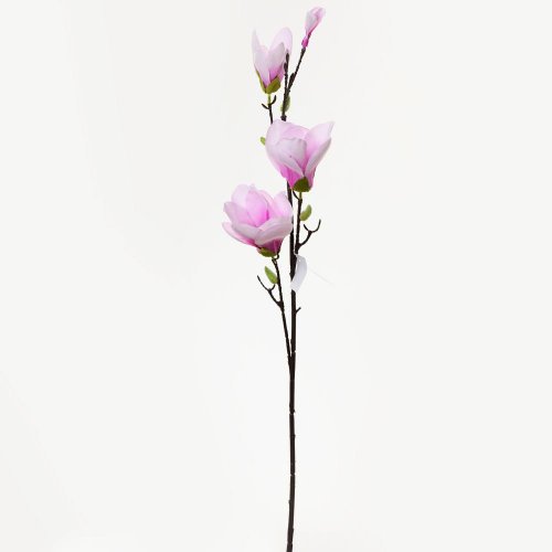 Ks magnólia bl.ruž. 82cm