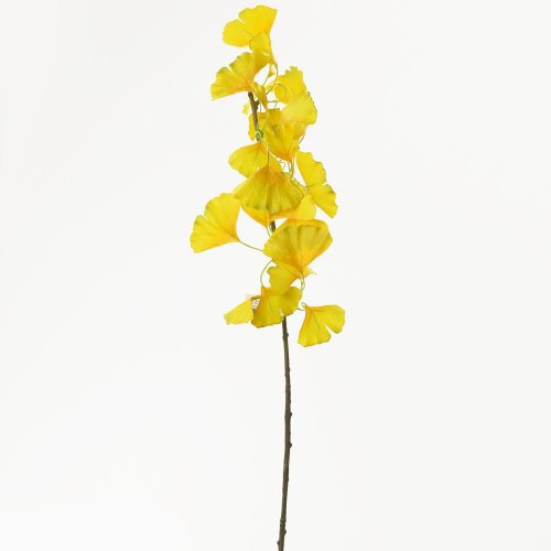 Konár ginko 70cm žltý