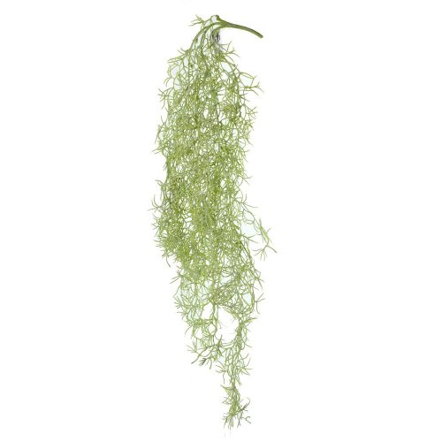 Ťahačka tillandsia sivá 85cm