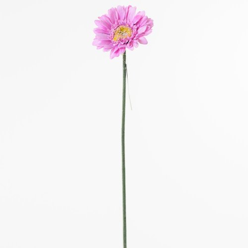 Ks gerbera ružová 45cm