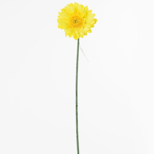 Ks gerbera žltá 45cm