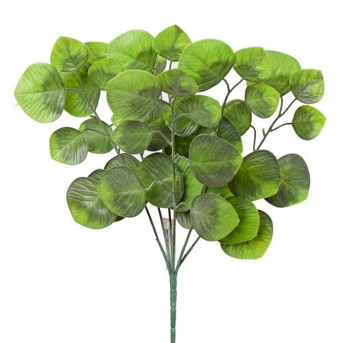 Zeleň eucalyptus populus 33cm