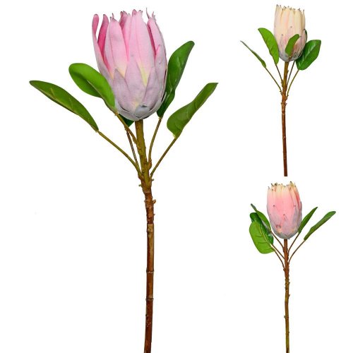 Ks protea f3 55cm - Umelé kvety