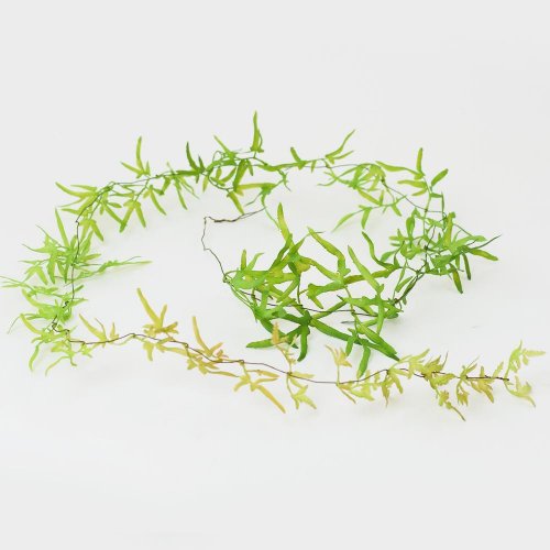 Ťahačka zeleň 110cm