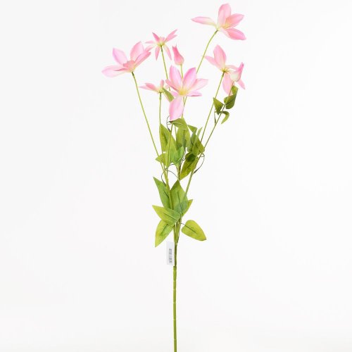 Ks clematis ružový 90cm