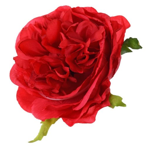 Hlava ruža anglická červená p:9cm bal:12ks