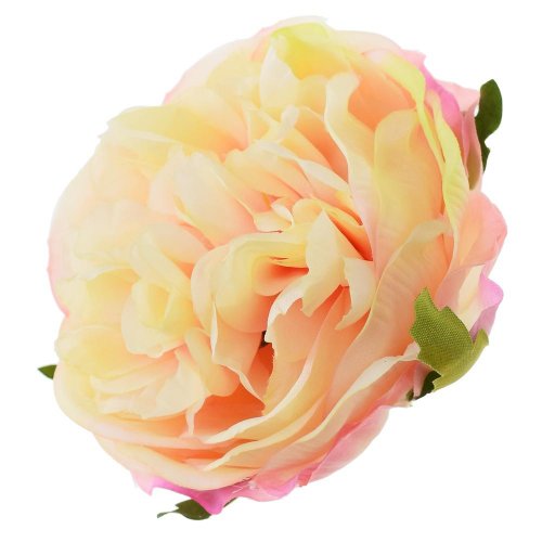 Hlava ruža anglická sv.ružová p:9cm bal:12ks