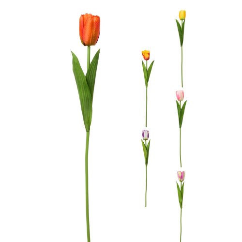 Ks tulipán 6f 48cm