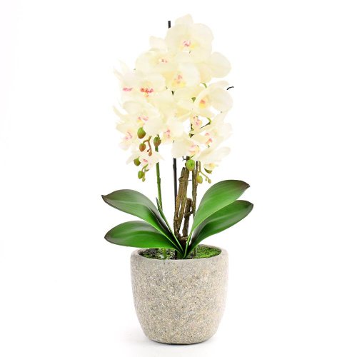 Orchidea v kvetináči 3výh.biela 61cm