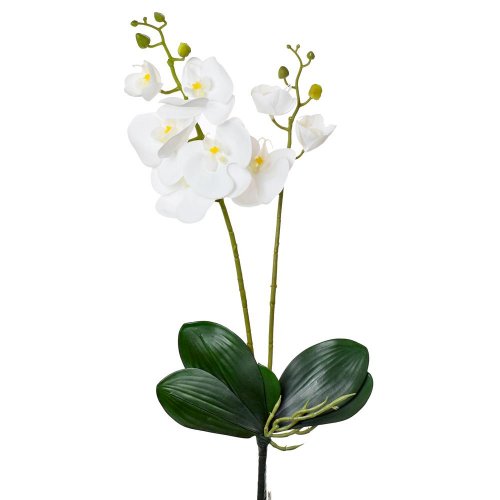 Ks orchidea 2 výhonky 55cm biela