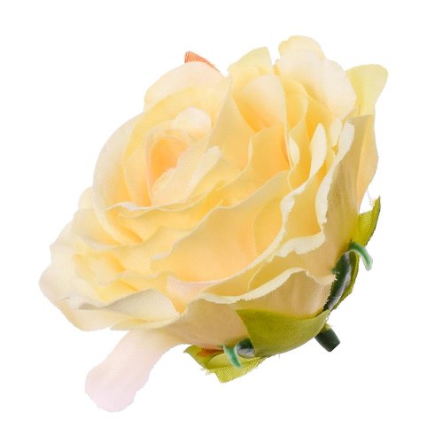 Hlava ruža marhuľová p:6cm bal:24ks