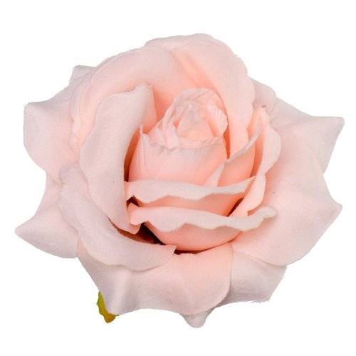 Hlava ruža ružová p:11 bal:24ks